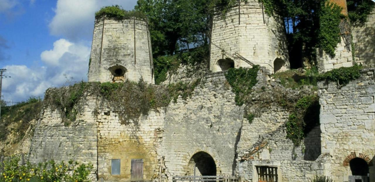 Le Perchoir Nocturne Bed & Breakfast Payre-sur-Vendee Dış mekan fotoğraf